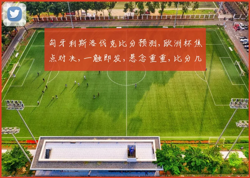 匈牙利斯洛伐克比分预测,欧洲杯焦点对决,一触即发,悬念重重,比分几何