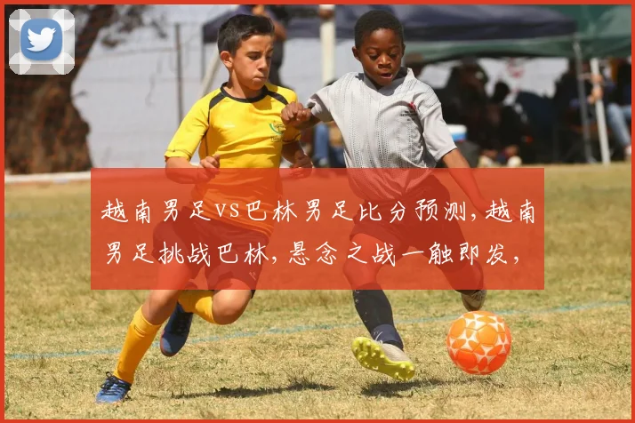 越南男足vs巴林男足比分预测,越南男足挑战巴林,悬念之战一触即发,谁能笑到最后