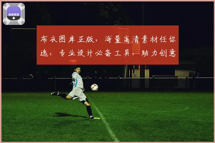 布衣图库正版，海量高清素材任你选，专业设计必备工具，助力创意无限，版权无忧
